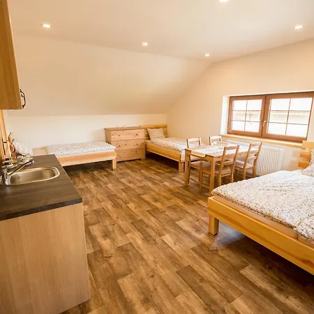 Slanskych Statek Guest house *
