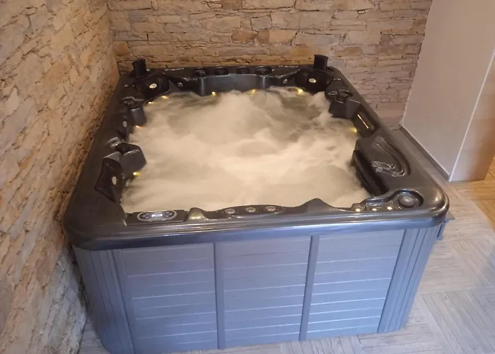 Slanskych Statek بيت ضيافة 3*